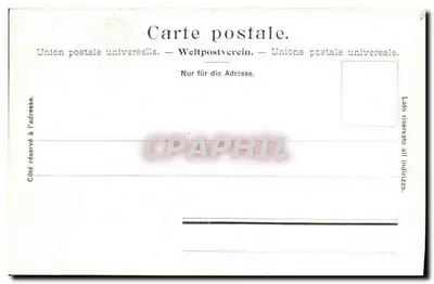 Bern - Bärengraben — zoológico com três ursos — Edição Photoclob Co Zürich n°2901 — Verso