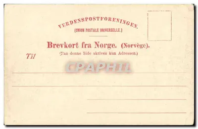 Parti fra Jostedalsbræen — Opstryn — N. K. Nr 741 — Rewers
