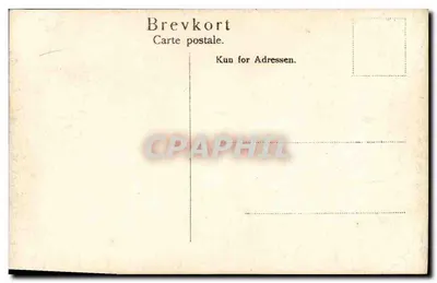 Dronning Maud — Engebretting 1910 — wydawca nieznany — Rewers