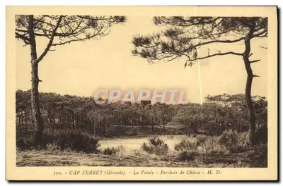 Cabo Ferret (Gironde) — A Ponta — M. D. — n° 100