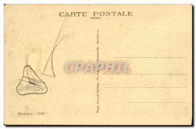 Saint-Sever-sur-Adour — Katedra — M. D. — Rewers
