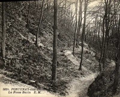 Fontenay-aux-Roses — A Fossa Bazin — E.M. n°5814