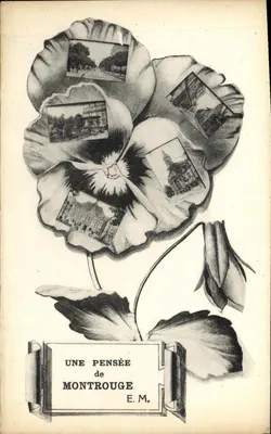 Uma flor de Montrouge — E.M.
