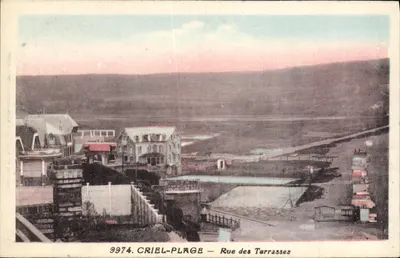 Criel-Plage — Rue des Terrasses — Editor Rivière-Bureau (Pons) n°9974