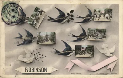 Aves e cenas de vida — P. Javelle, Fot. Robinson — Modelo Depositado