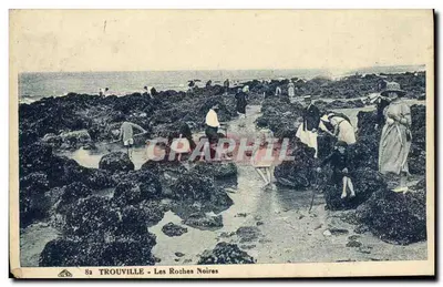 ट्रूविल्ले - लेस रोच नोअर - ग्राफ्फिल, संख्या 82