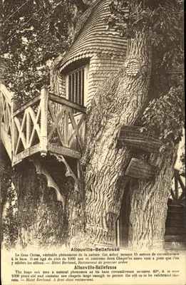 O Grande Carvalho em Allouville-Bellefosse — fenômeno natural com capelas integradas — Hôtel Berland, Restaurante de primeiro ordem