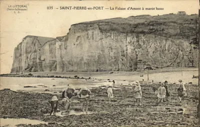 Saint-Pierre-en-Port — A Falaise d'Amont à maré baixa — O LITORAL (Seine-Inférieure) n°1135