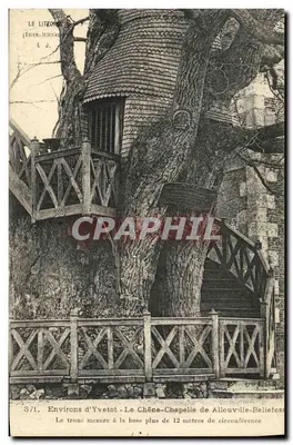 A Carvalha da Capela de Allouville-Bellefosse — Arredores de Yvetot — L. J. n° 371