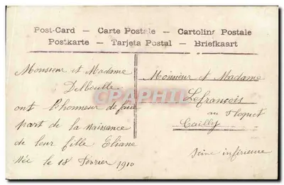 Bébé dans une forêt de champignons — Souvenir — Éditeur inconnu, n° de série non visible — Verso