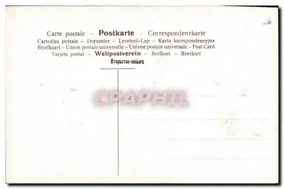 Annie Dirckens — jovem mulher em vestido de noiva rosa e véu — editor A.3074 — Verso
