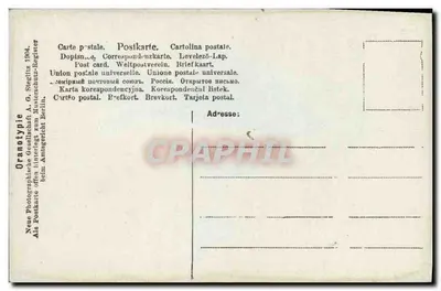Czarodziejka i dzieci — scena nocna — Neue Photographische Gesellschaft A. G. Steglitz, Berlin — Rewers