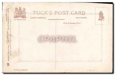 Vrouw in paarse jurk op een groene bank — 'ON SILKEN CUSHIONS HALF RECLINED.' — M. Horsfall, uitgever Tuck's Post Card, n° 9742 — Achterkant
