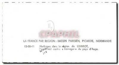 Trawy w okolicach Livarot — Francja według regionów: basen paryski, Picardia, Normandia — wydawca Labie Service Aérien, nr 11 — Rewers