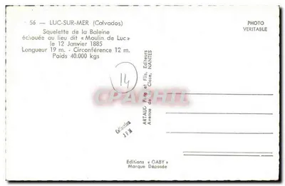 Szkielet baleiny — wypryskany w miejscu znanej jako « Moulin de Luc » — Wydawnictwo Gaby, Nantes — Rewers
