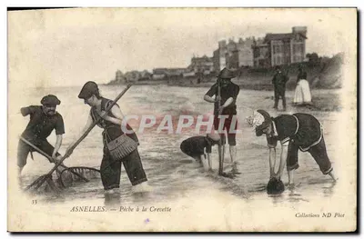 Asnelles — Pesca de camarões — Coleções ND Phot