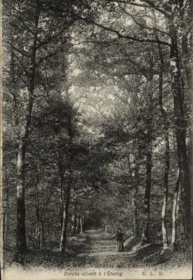 Boissise-Saint-Cuenra — Rua levando ao Lago — E.L.D.