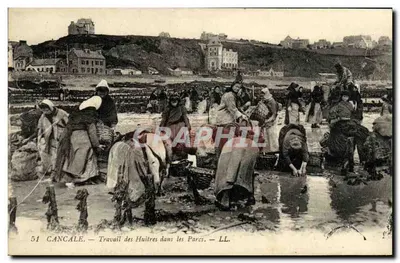 Cancale — Oyster Work in the Parks — LL.