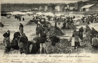 Cancale — Ansicht des Austernsortierens — LL