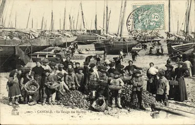 Cancale — Le Triage des Huîtres — HLM, n° 35