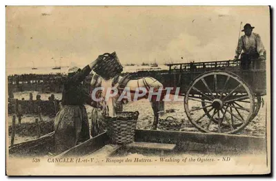 Cancale (L.-et-V.) — Rinçage des Huîtres — éditeur Lévy et Neuberg Réunis