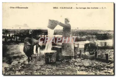 Côte d'Émeraude — Cancale — Le lavage des huîtres — G.F. n°2614