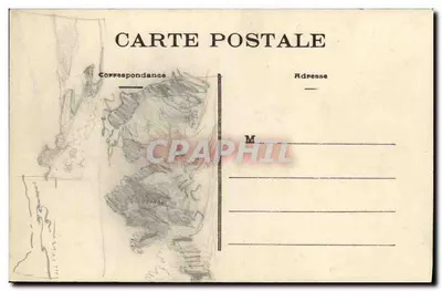 Rennes (Ille-et-Vilaine) — Ogród Botaniczny, Duży Cedr — Fototypia Vassellier — Rewers