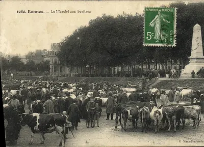 Rennes — Le Marché aux bestiaux — É. Mary-Rosselé