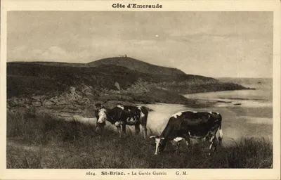 Costa de Esmeralda — St-Briac, La Garde Guérin — G. M. n°1614