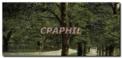 CPA The promenade Clifton