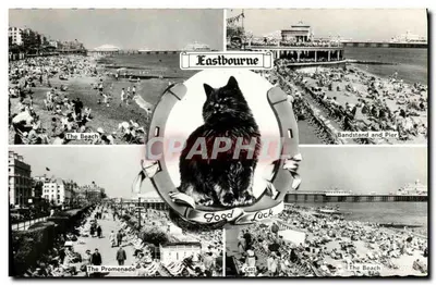 Eastbourne — vista da praia, do palco e do pontão — St Albans