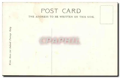 Royal Infirmary, Edinburgh — widok budynku z owcami — wydrukowane przez V. and S., Ltd., dla The Picture Post Card Bureau, Edinburgh — Rewers