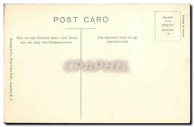 Zamek Kenilworth z Wnętrza — widok na zrujnowane zrujnowane zarośnięte lianami — Stengel & Co. Post Card Publ., London E.C. — Rewers