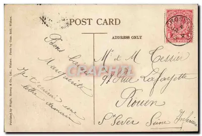 Stonebyres Falls — cascade encaissée dans un paysage boisé — éditeur Wright, Murray & Co., Ltd., Wishaw, n° 233 — Verso