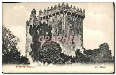Blarney Castle — Co. Cork — Lawrence, Publisher, Dublin