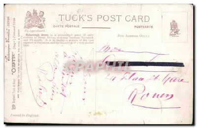 Roborough Down — Devon — Tuck's Post Card N°7749 — Rewers
