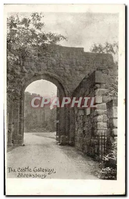 O Portal do Castelo — Shrewsbury — Wilding N° 141