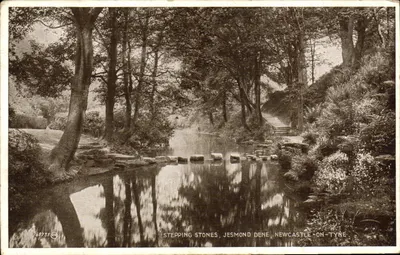 Stepping Stones, Jesmond Dene, Newcastle-on-Tyne — British Manufacture, n° 69735