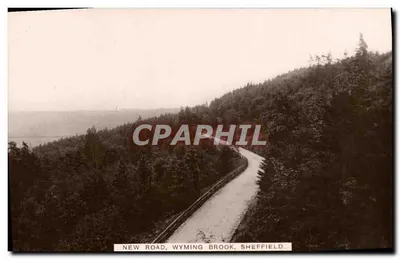 Nova Estrada, Wyming Brook, Sheffield — vista da estrada na floresta — The Loca-Vu Photo Co., Sheffield