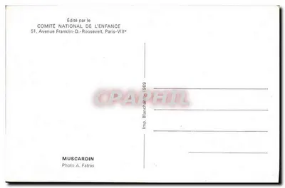 Campanha do esquilo — editor Comitê Nacional da Criança — Imp. Blanchard, 1969 — Verso