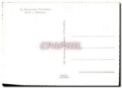 Mężczyzna w tradycyjnym stroju — trzymający zamknięty parasol — wydawca La Normandie Pittoresque, n° 56-19 — Rewers