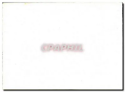 Pałac w Fontainebleau — Widok z Jeziora Karpi — Grafika — Rewers