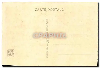 Międzynarodowa Wystawa Kolonialna — Paryż 1931 — Park Zoologiczny — nr 264 — Rewers
