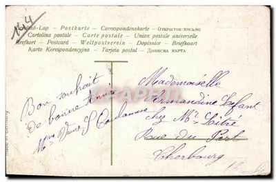 Cisne e flores — Feliz ano — Editor desconhecido, número de série não visível — Verso
