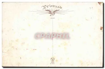 Arranjo de flores — pintura — Primus, n° 5242 — Verso