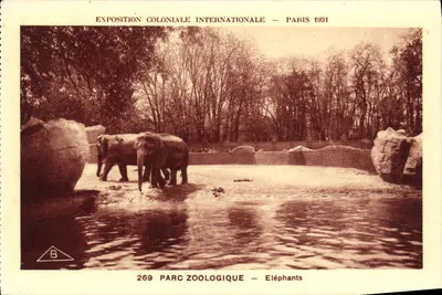 Parque Zoológico — Elefantes — Exposição Colonial Internacional — Paris 1931