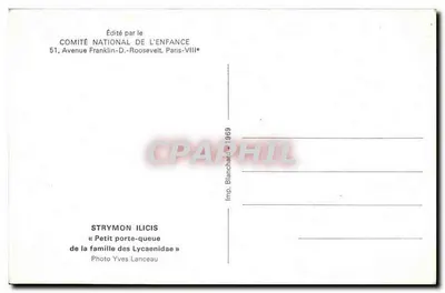 Strymon ilicis — Mały ogon — Wydane przez Narodowy Komitet Dziecka — Rewers