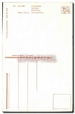 As Ninfas — Lírios — René HISS — Salon de Paris — n°589 — Verso