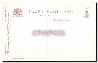 Dois cavalos montados — ilustração — Tuck's Post Card n° 8650 — Verso
