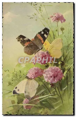 Papilhas sobre flores — ilustração natural — STF, n° 1231